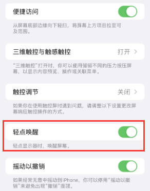 启东苹果授权维修站分享iPhone轻点无法唤醒怎么办 