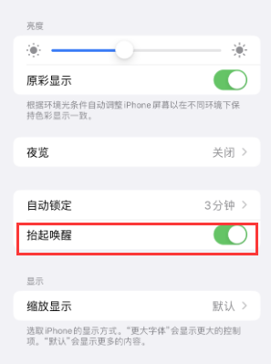 启东苹果授权维修站分享iPhone轻点无法唤醒怎么办
