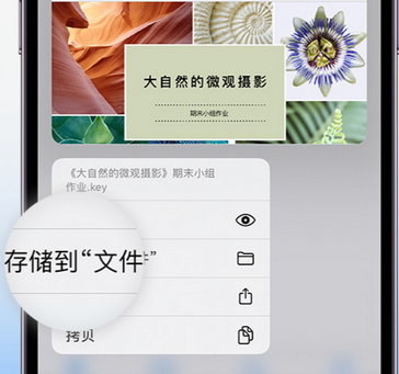 启东apple维修中心分享iPhone文件应用中存储和找到下载文件