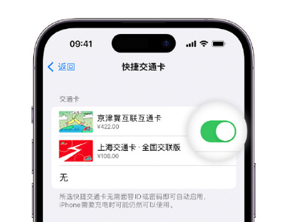 启东apple维修点分享iPhone上更换Apple Pay快捷交通卡手绘卡面 