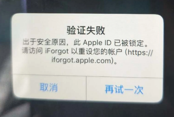 启东iPhone维修分享iPhone上正常登录或使用AppleID怎么办 