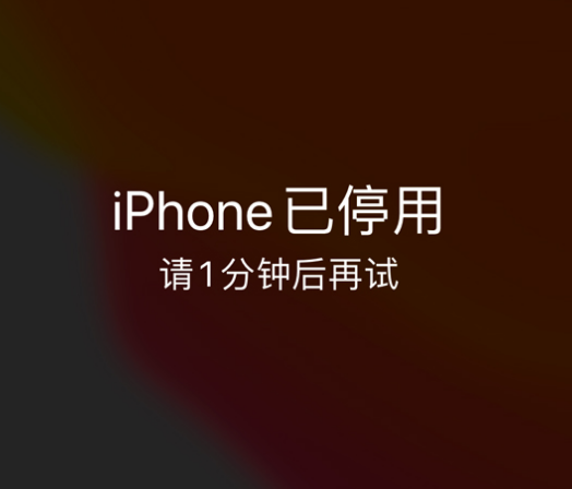 启东苹果手机维修分享:iPhone 显示“不可用”或“已停用”怎么办？还能保留数据吗？ 