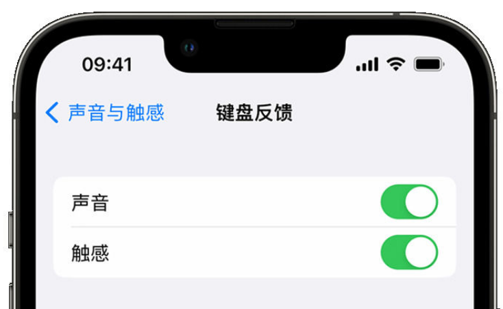 启东苹果手机维修分享iPhone 14触感键盘使用方法 