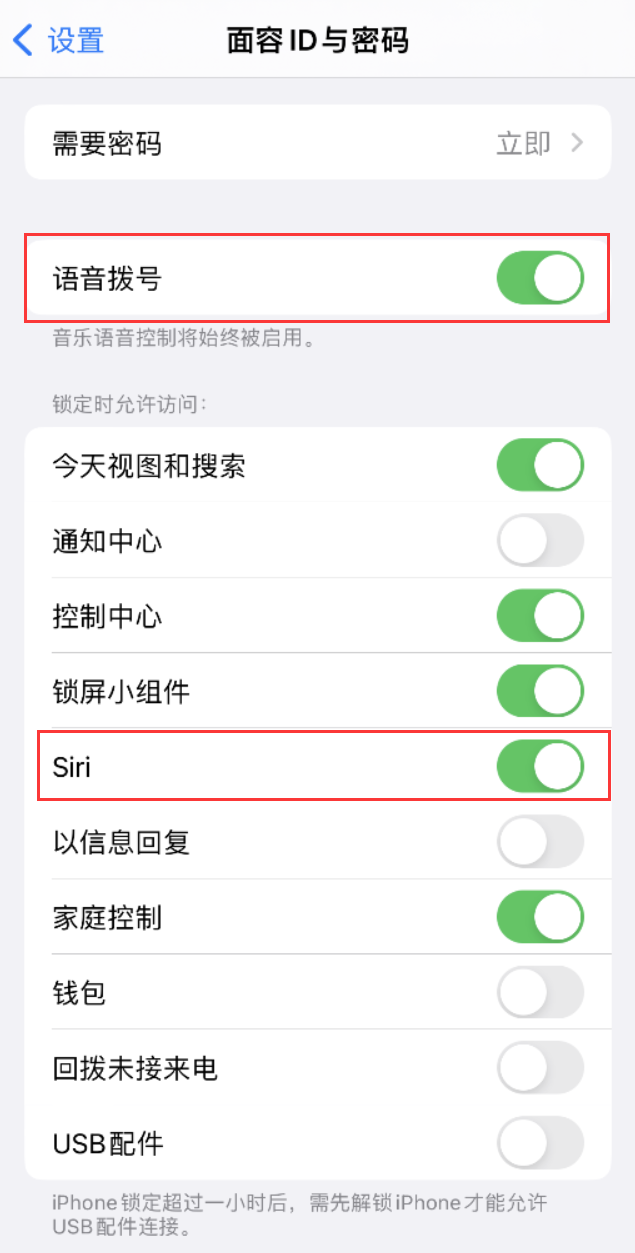 启东苹果维修网点分享不解锁 iPhone 的情况下通过 Siri 拨打电话的方法 