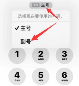 启东苹果14维修店分享iPhone 14 Pro Max使用副卡打电话的方法 