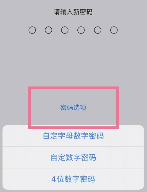 启东苹果14维修分享iPhone 14plus设置密码的方法 