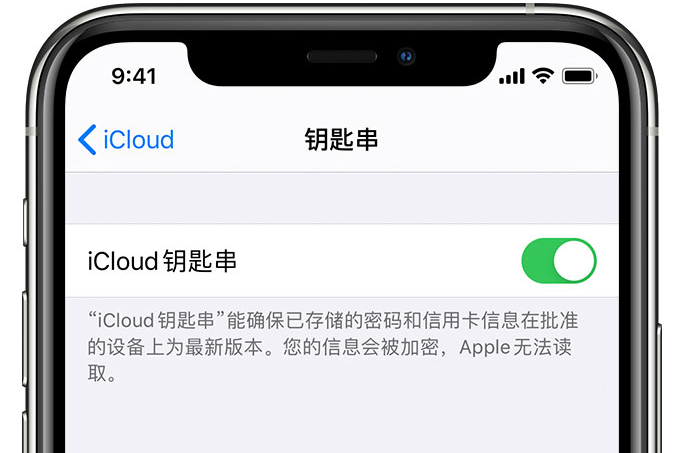 启东苹果手机维修分享在 iPhone 上开启 iCloud 钥匙串之后会储存哪些信息 