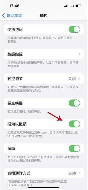 启东苹果手机维修分享iPhone手机如何设置摇一摇删除文字 