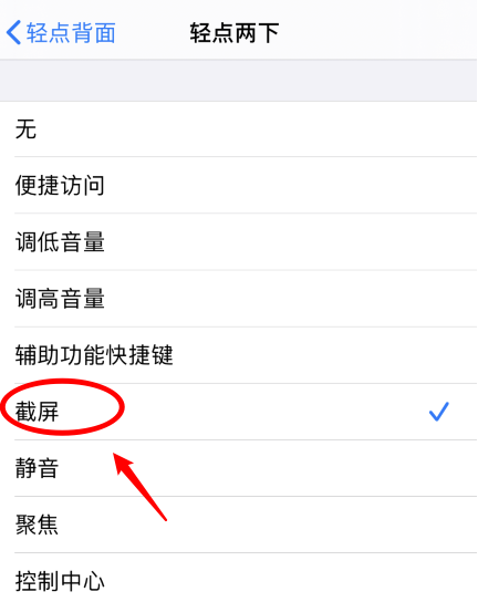 启东苹果手机维修分享iPhone12如何启用双击截屏 