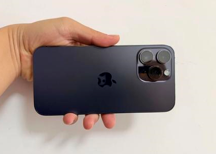 启东苹果维修点分享iPhone 14 Pro Max黑屏少见故障盘点 